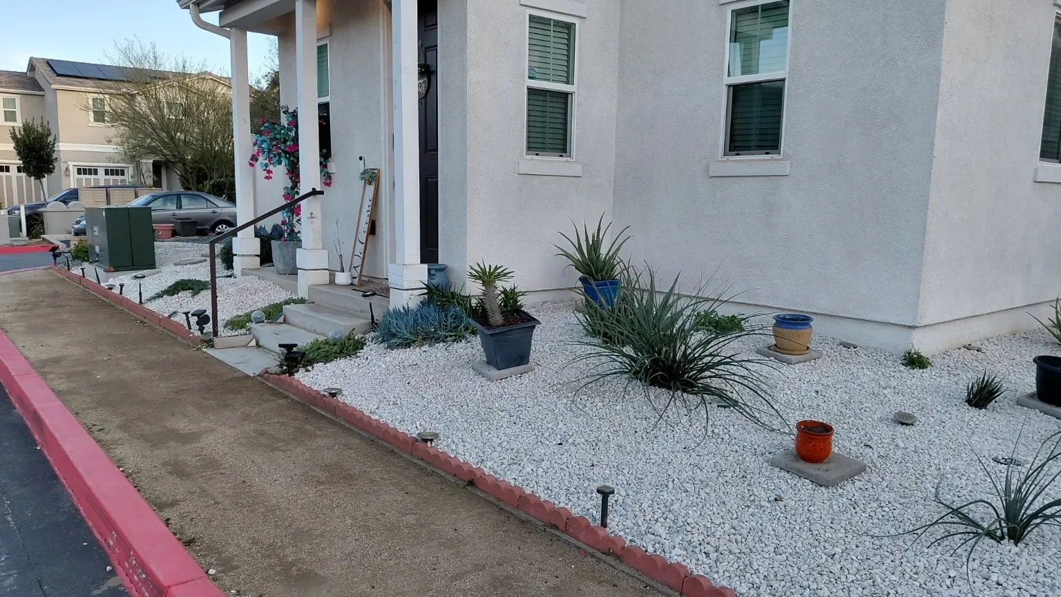 The refreshed front garden beside the house.
