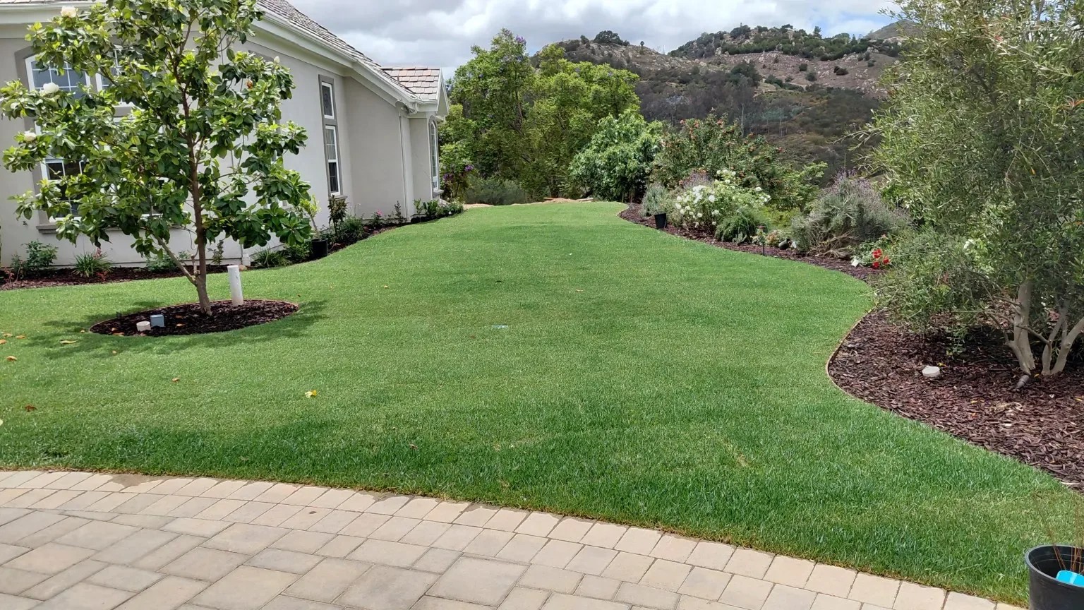 After: A sweeping lawn with curved planting beds and a paver edge.