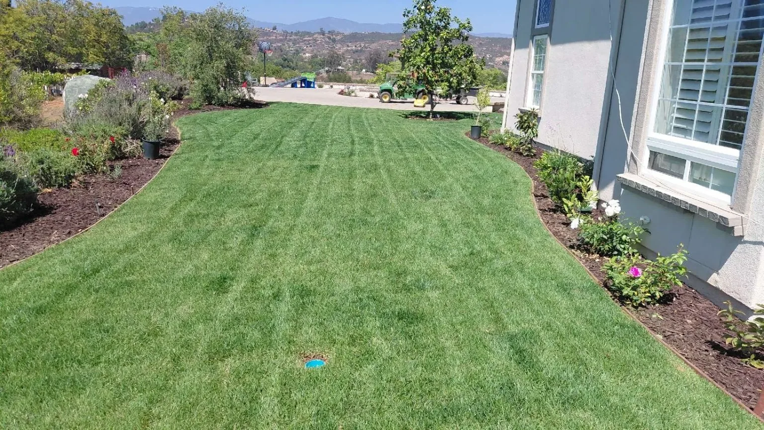 After: A narrow lawn bordered by flowering plants beside the house.