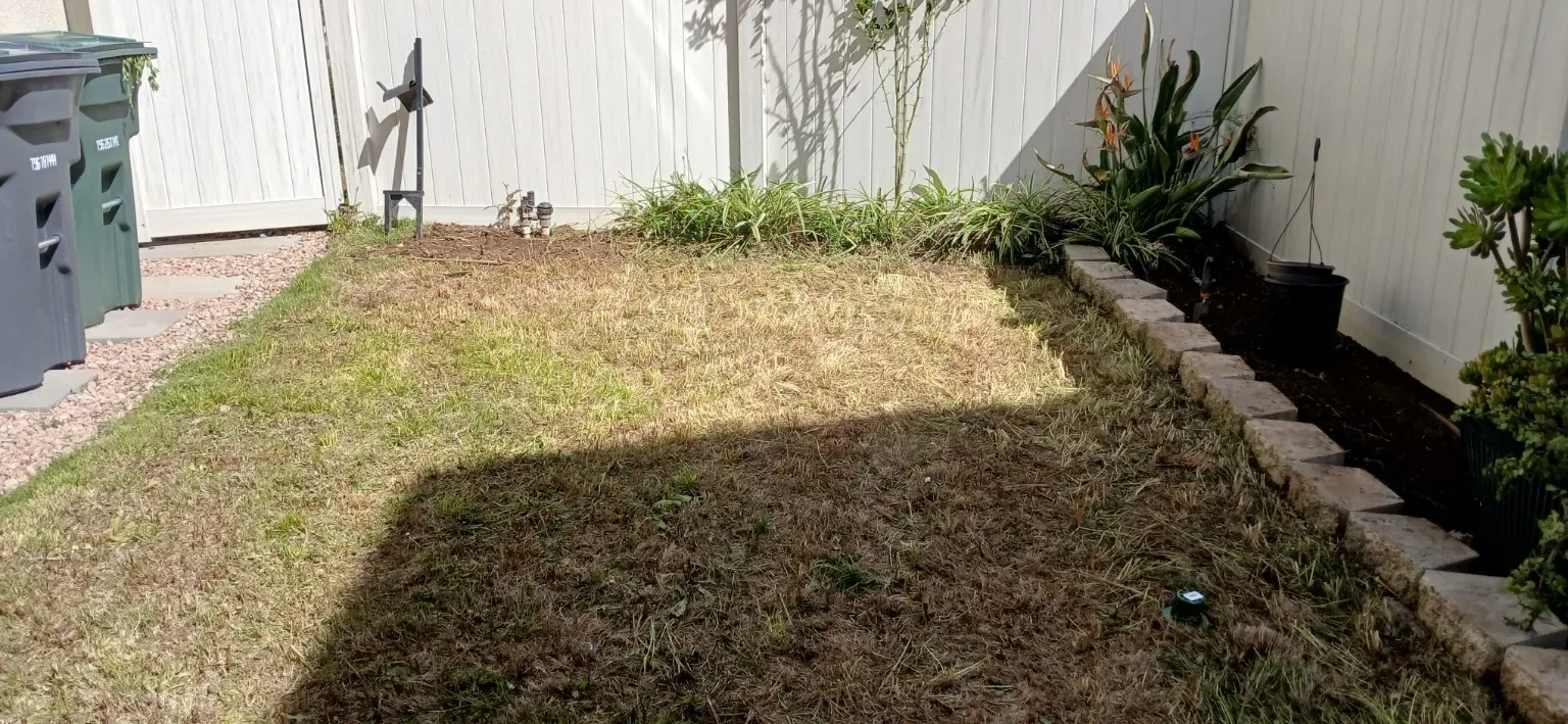 After: The same fenced corner after cleanup.