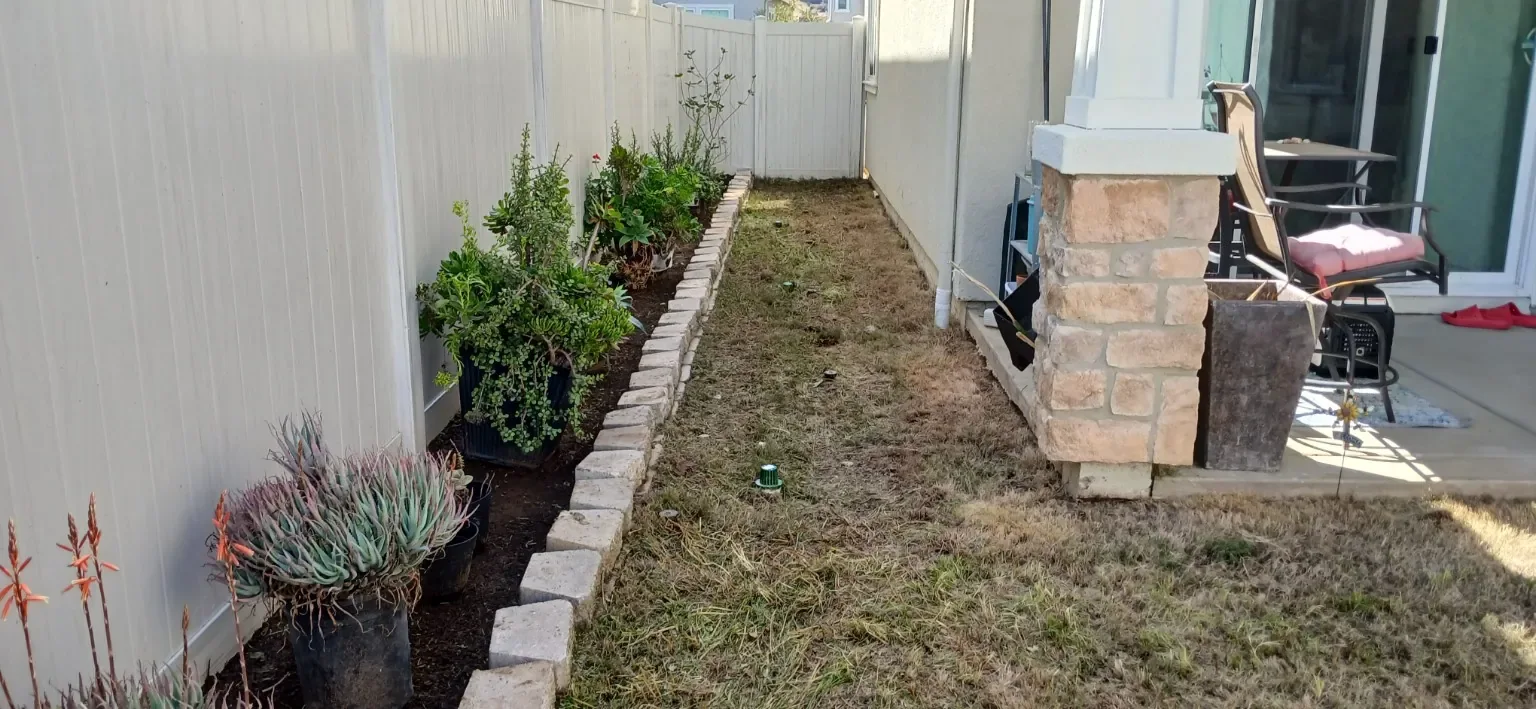 After: The same planting border after cleanup.