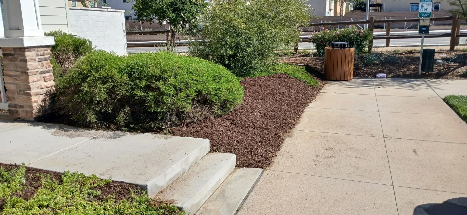 After: Fresh brown mulch around the existing shrubs beside the front entry and walkway.