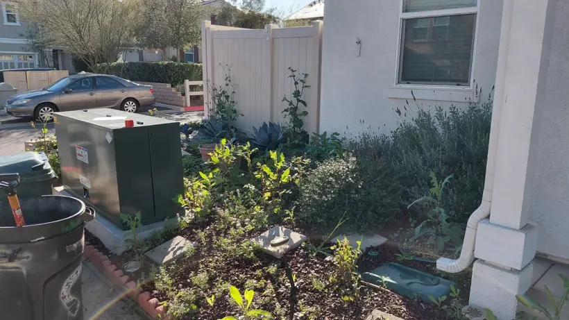 The front planting bed before the decorative rock refresh.