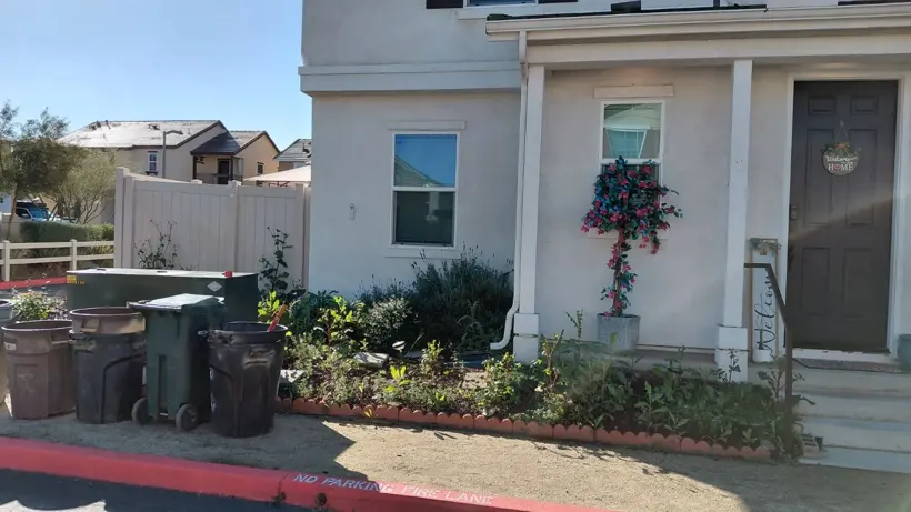 A wider view of the front garden before the refresh.