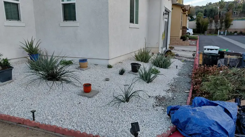 The front garden after cleanup and the bed refresh.