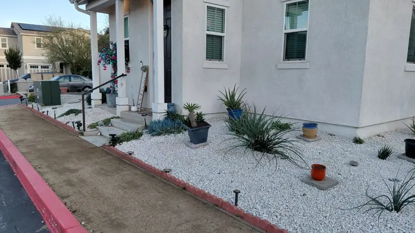 The refreshed front garden beside the house.