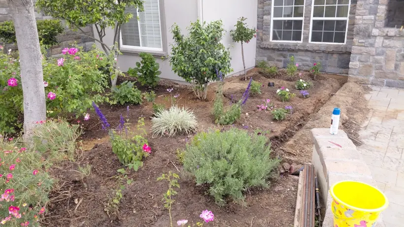 Planting work around the house during the lawn and landscape job.