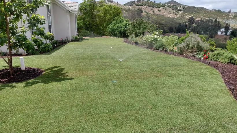 Lawn and planting beds around a backyard sprinkler zone.