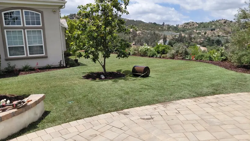 A new lawn wrapping around a tree and circular planter.