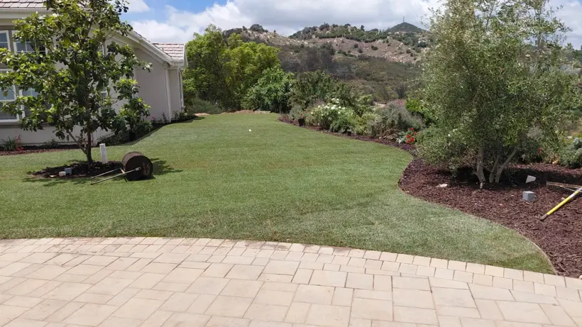 Finished lawn meeting the curved paver courtyard.