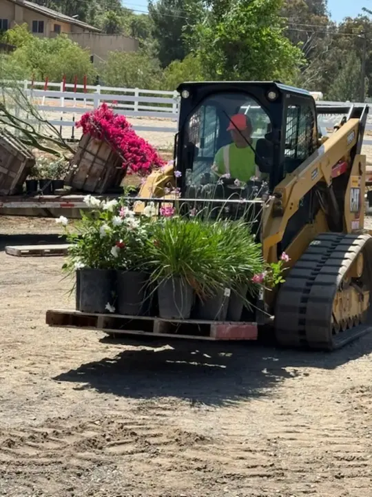 Plant delivery and site work during a landscape installation.