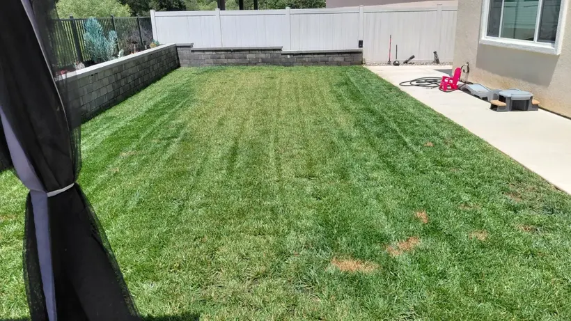 Mown lawn between the patio and block wall.