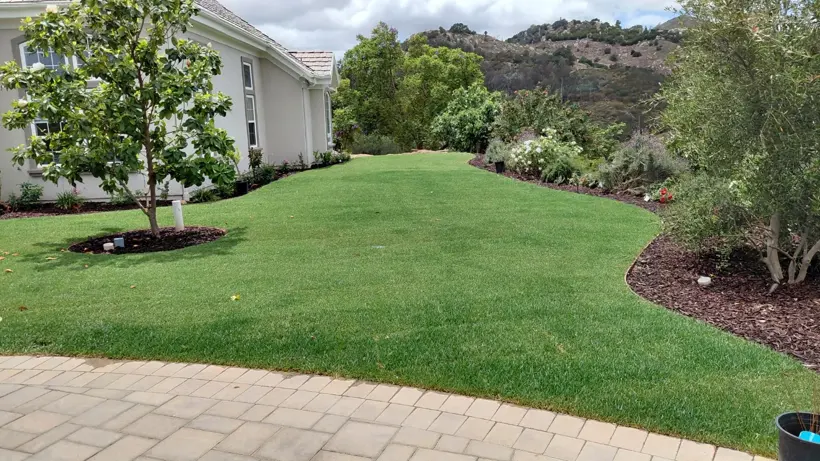 A sweeping lawn with curved planting beds and a paver edge.