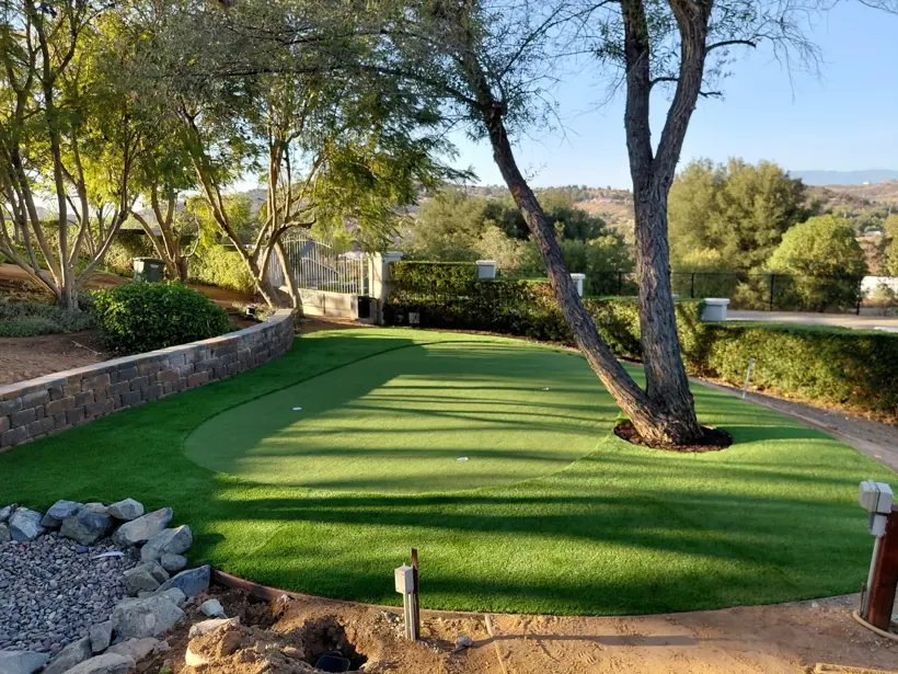 A shaded backyard putting green framed by mature trees.
