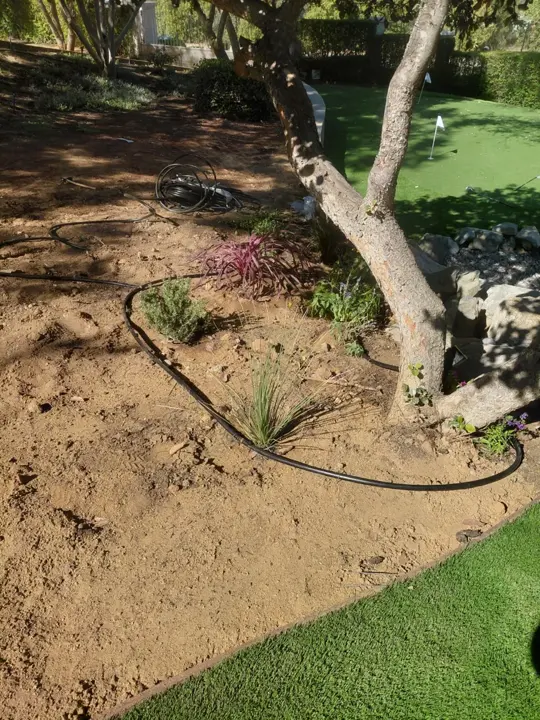 Planting and drip-line details beside a landscape tree.