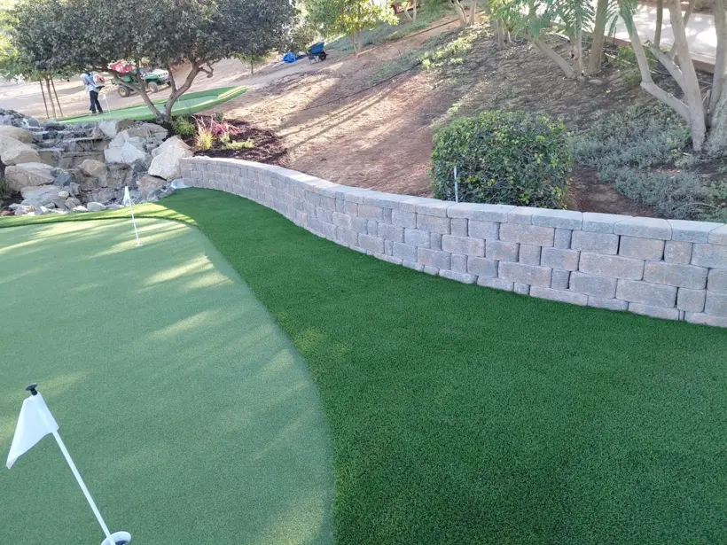 A putting surface following the curve of a low landscape wall.