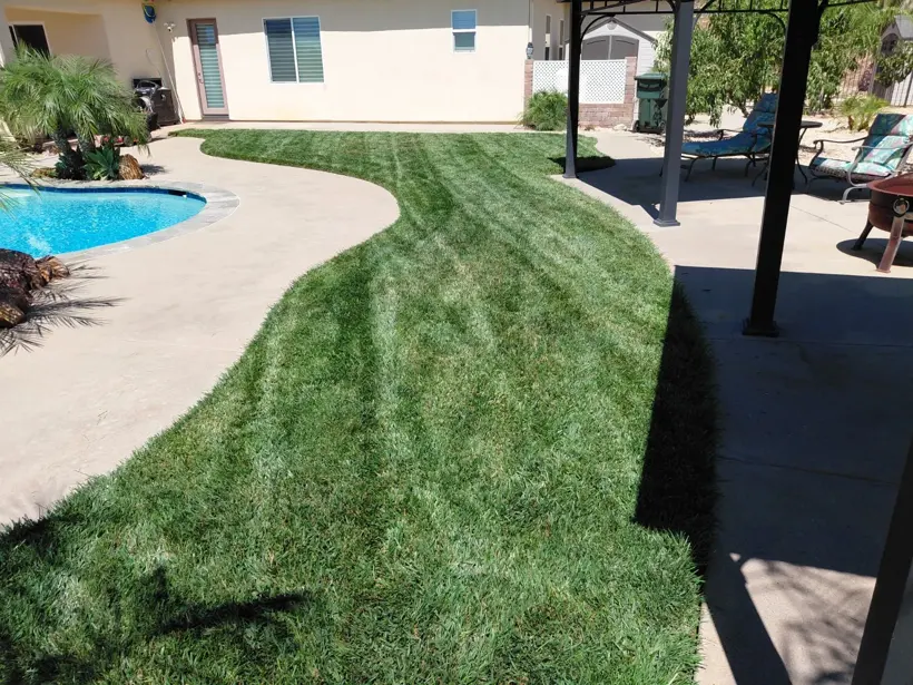 Mown lawn following the curve of the pool deck.