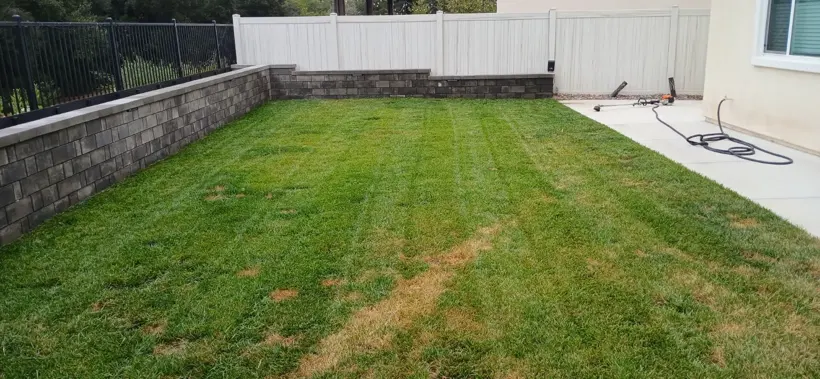 Another finished view of the backyard lawn.