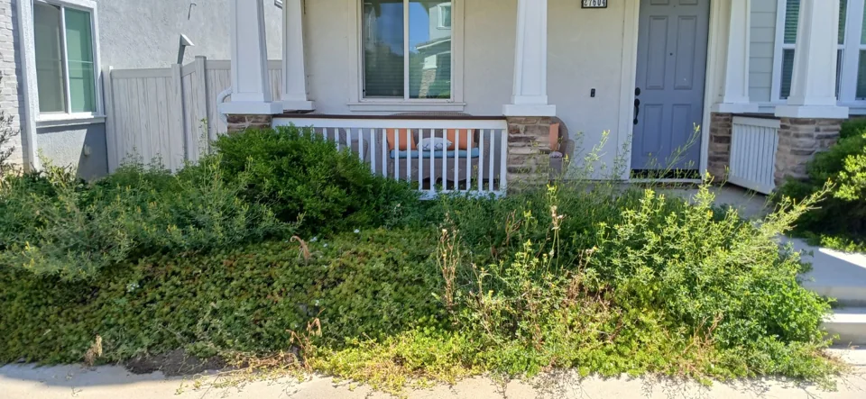 A wider view of the front porch and planting bed before the mulch refresh.