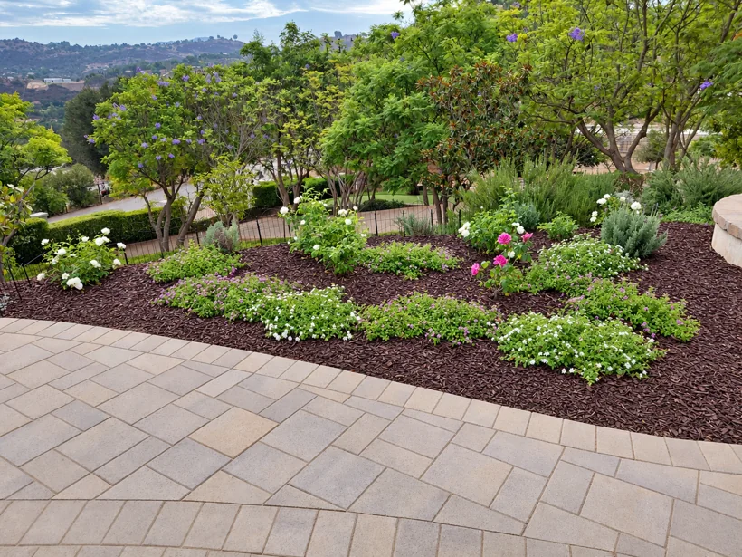 Flowering plants and mulch beside a paver patio. Photo lightly retouched.
